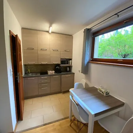 Apartament Nosal * 扎科帕内