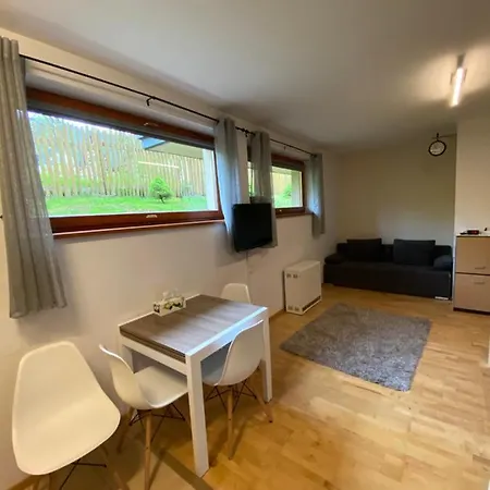 公寓 Apartament Nosal 扎科帕内