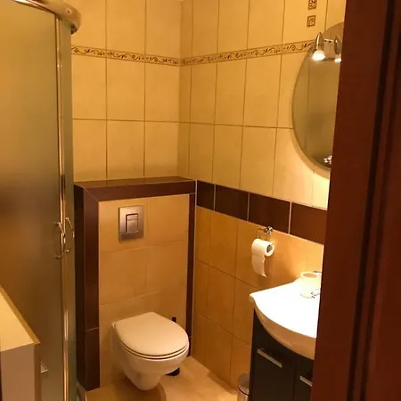 公寓 Apartament Nosal 扎科帕内