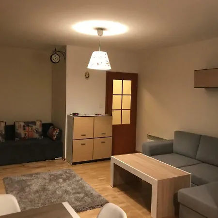 Apartament Nosal 公寓 *