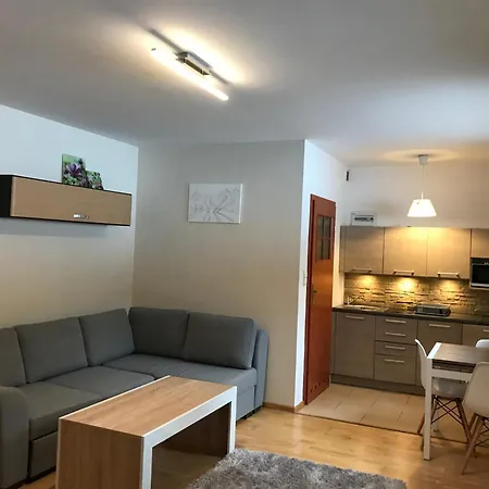 Apartament Nosal 公寓