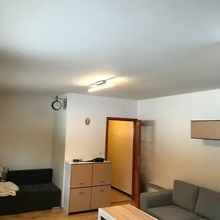 公寓 Apartament Nosal 扎科帕内