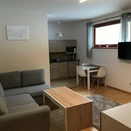 Apartament Nosal * 扎科帕内