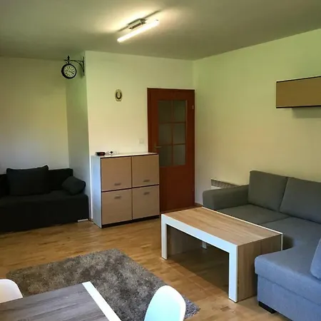 Apartament Nosal 扎科帕内