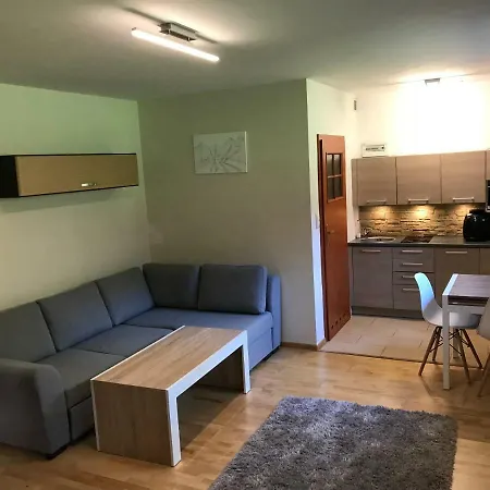 Apartament Nosal *
